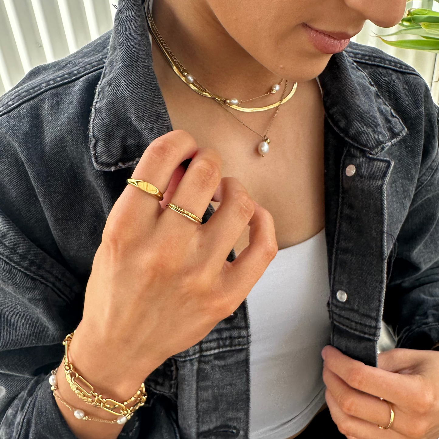 Madison Signet Ring - Ever Jewellery