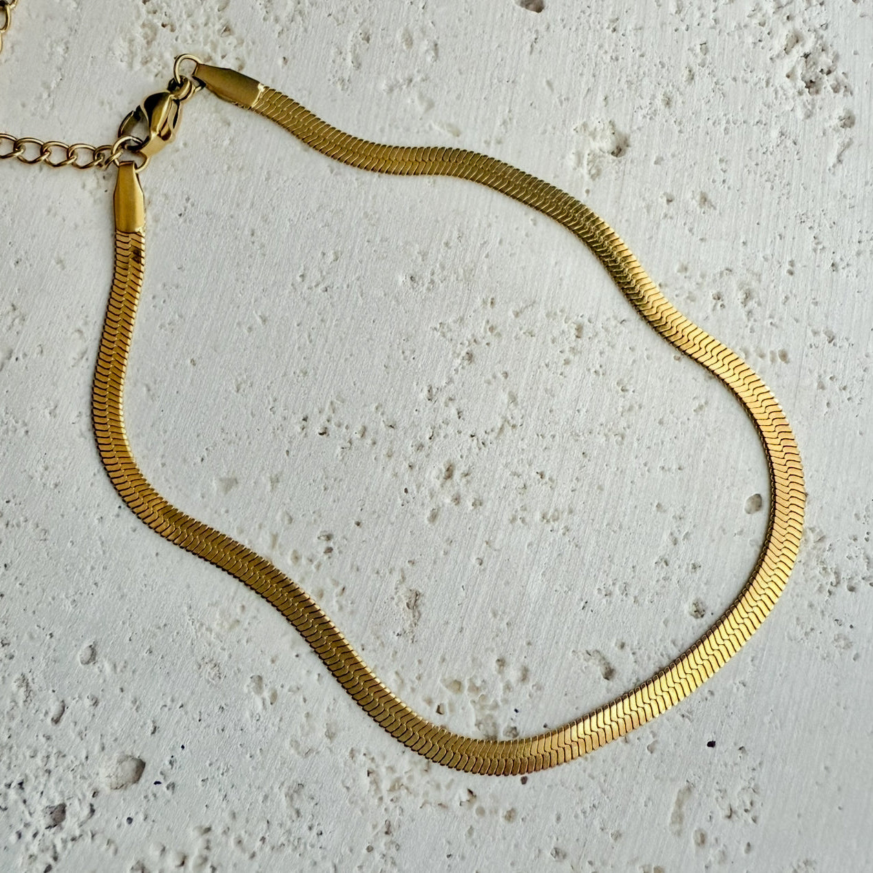 gold snake chain anklet on rock