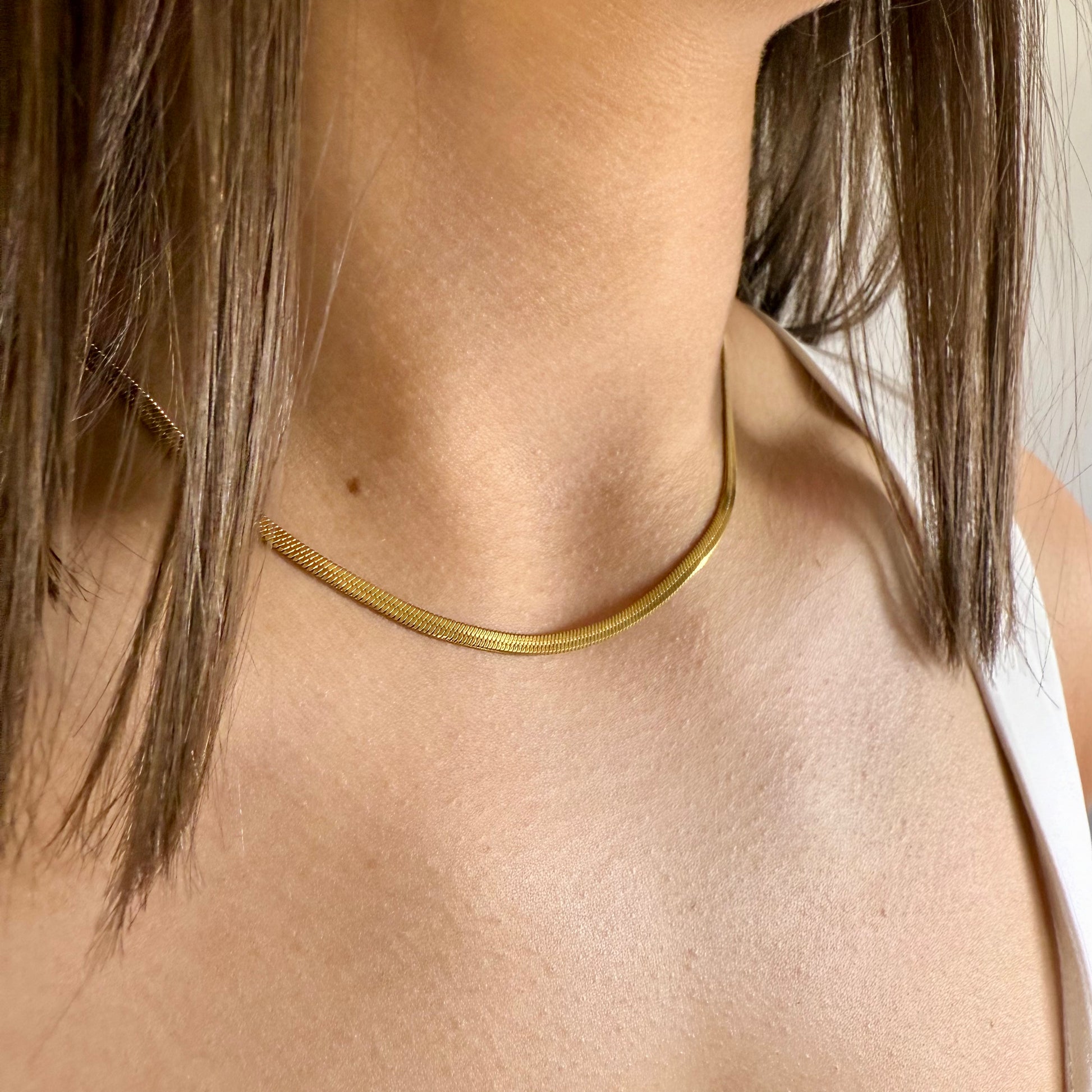 Sidewalk Necklace + Transition Sleeper Earrings Bundle - GOLD - Ever Jewellery 