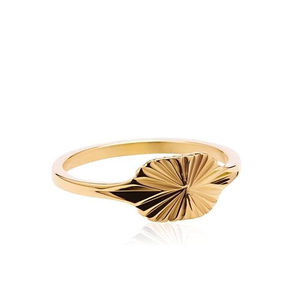 Crossroad Ring on white background