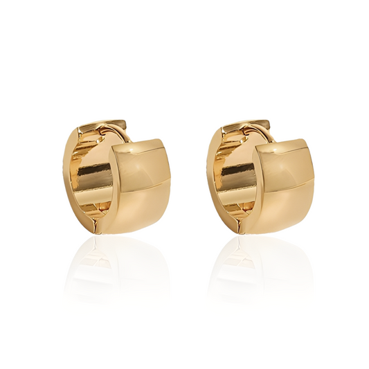Pair of gold hoop earrings on a white background