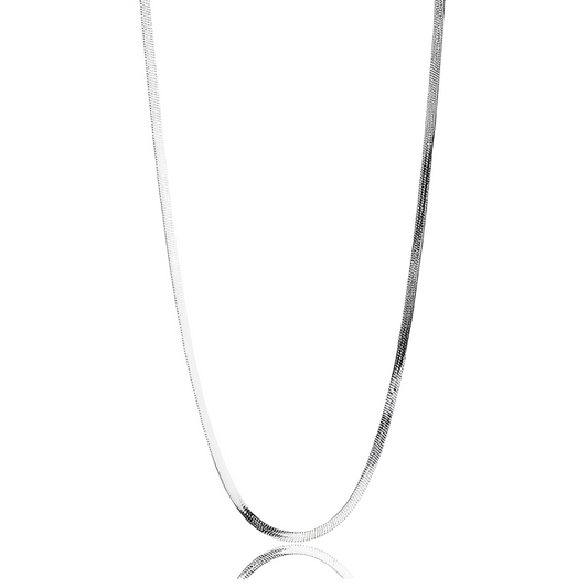 Sidewalk Silver Necklace – fine flat chain on white background
